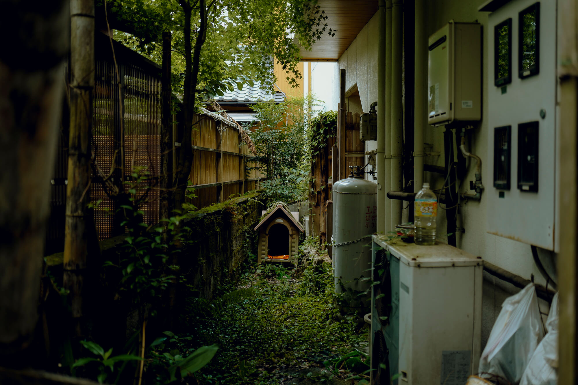 コロの犬小屋